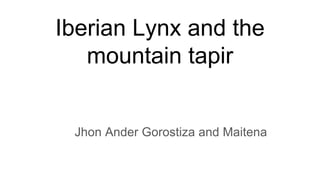 Iberian Lynx and the
mountain tapir
Jhon Ander Gorostiza and Maitena
 