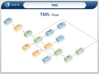 TMS - Fluxo
TMS
 