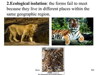 2.Ecological isolation: the forms fail to meet
because they live in different places within the
same geographic region.
103Guru IB
ESS
 