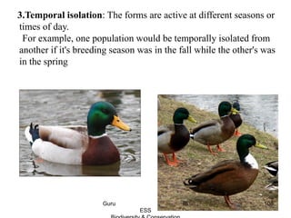 3.Temporal isolation: The forms are active at different seasons or
times of day.
For example, one population would be temporally isolated from
another if it's breeding season was in the fall while the other's was
in the spring
108Guru IB
ESS
 