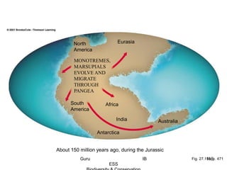 Fig. 27.19a, p. 471
North
America
MONOTREMES,
MARSUPIALS
EVOLVE AND
MIGRATE
THROUGH
PANGEA
South
America
Antarctica
AustraliaIndia
Africa
Eurasia
About 150 million years ago, during the Jurassic
116Guru IB
ESS
 