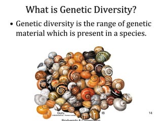 What is Genetic Diversity?
• Genetic diversity is the range of genetic
material which is present in a species.
14Guru IB
ESS
 