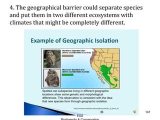 4. The geographical barrier could separate species
and put them in two different ecosystems with
climates that might be completely different.
141Guru IB
ESS
 