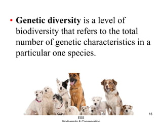 • Genetic diversity is a level of
biodiversity that refers to the total
number of genetic characteristics in a
particular one species.
15Guru IB
ESS
 