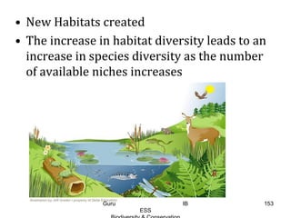 • New Habitats created
• The increase in habitat diversity leads to an
increase in species diversity as the number
of available niches increases
153Guru IB
ESS
 
