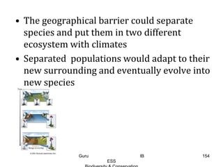 • The geographical barrier could separate
species and put them in two different
ecosystem with climates
• Separated populations would adapt to their
new surrounding and eventually evolve into
new species
154Guru IB
ESS
 