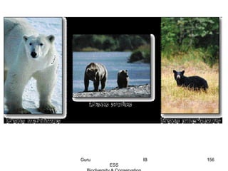 156Guru IB
ESS
 