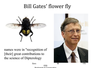 Bill Gates' flower fly
names were in "recognition of
[their] great contributions to
the science of Dipterology
175Guru IB
ESS
 