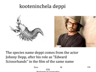kooteninchela deppi
The species name deppi comes from the actor
Johnny Depp, after his role as "Edward
Scissorhands" in the film of the same name
176Guru IB
ESS
 