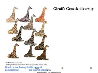 Giraffe Genetic diversity
18Guru IB
ESS
 