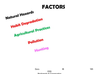 FACTORS
185Guru IB
ESS
 