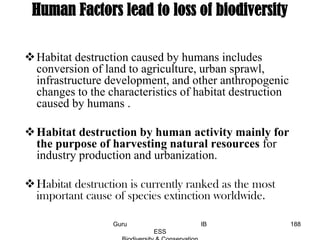Human Factors lead to loss of biodiversity
Habitat destruction caused by humans includes
conversion of land to agriculture, urban sprawl,
infrastructure development, and other anthropogenic
changes to the characteristics of habitat destruction
caused by humans .
Habitat destruction by human activity mainly for
the purpose of harvesting natural resources for
industry production and urbanization.
Habitat destruction is currently ranked as the most
important cause of species extinction worldwide.
188Guru IB
ESS
 
