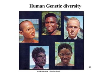 Human Genetic diversity
20Guru IB
ESS
 
