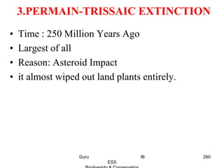 3.PERMAIN-TRISSAIC EXTINCTION
• Time : 250 Million Years Ago
• Largest of all
• Reason: Asteroid Impact
• it almost wiped out land plants entirely.
260Guru IB
ESS
 