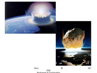 281Guru IB
ESS
 