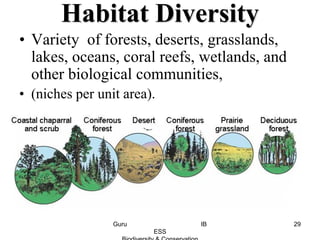 Habitat Diversity
• Variety of forests, deserts, grasslands,
lakes, oceans, coral reefs, wetlands, and
other biological communities,
• (niches per unit area).
29Guru IB
ESS
 