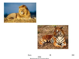 304Guru IB
ESS
 