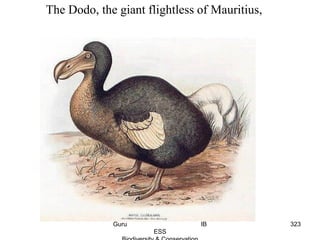 The Dodo, the giant flightless of Mauritius,
323Guru IB
ESS
 