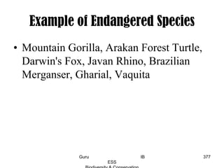 Example of Endangered Species
• Mountain Gorilla, Arakan Forest Turtle,
Darwin's Fox, Javan Rhino, Brazilian
Merganser, Gharial, Vaquita
377Guru IB
ESS
 