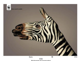 413Guru IB
ESS
 