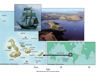 Isabela
Darwin
Wolf
Pinta
Marchena Genovesa
Fernandia
Santiago
Bartolomé
Råbida
Pin zon
Seymour
Baltra
Santa Cruz
Santa Fe
Tortuga
Española
San Cristobal
Floreana
EQUATOR
Galåpagos
Islands
46Guru IB
ESS
 
