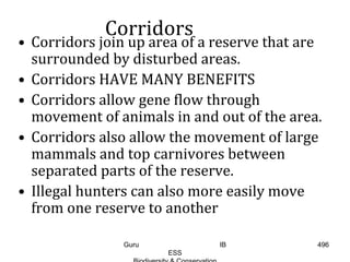 Corridors
• Corridors join up area of a reserve that are
surrounded by disturbed areas.
• Corridors HAVE MANY BENEFITS
• Corridors allow gene flow through
movement of animals in and out of the area.
• Corridors also allow the movement of large
mammals and top carnivores between
separated parts of the reserve.
• Illegal hunters can also more easily move
from one reserve to another
496Guru IB
ESS
 