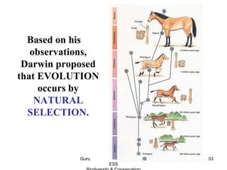 Based on his
observations,
Darwin proposed
that EVOLUTION
occurs by
NATURAL
SELECTION.
53Guru IB
ESS
 