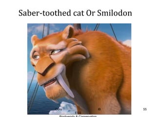Saber-toothed cat Or Smilodon
55Guru IB
ESS
 