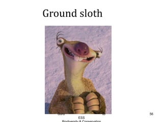 Ground sloth
56Guru IB
ESS
 