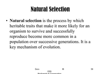 Natural Selection
• Natural selection is the process by which
heritable traits that make it more likely for an
organism to survive and successfully
reproduce become more common in a
population over successive generations. It is a
key mechanism of evolution.
58Guru IB
ESS
 