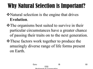 Why Natural Selection is Important?
Natural selection is the engine that drives
Evolution.
The organisms best suited to survive in their
particular circumstances have a greater chance
of passing their traits on to the next generation.
These factors work together to produce the
amazingly diverse range of life forms present
on Earth.
60Guru IB
ESS
 