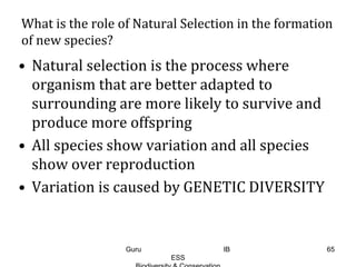 What is the role of Natural Selection in the formation
of new species?
• Natural selection is the process where
organism that are better adapted to
surrounding are more likely to survive and
produce more offspring
• All species show variation and all species
show over reproduction
• Variation is caused by GENETIC DIVERSITY
65Guru IB
ESS
 