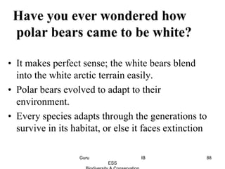 Have you ever wondered how
polar bears came to be white?
• It makes perfect sense; the white bears blend
into the white arctic terrain easily.
• Polar bears evolved to adapt to their
environment.
• Every species adapts through the generations to
survive in its habitat, or else it faces extinction
88Guru IB
ESS
 