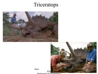 Triceratops
91Guru IB
ESS
 