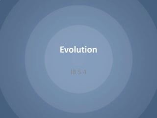 Evolution

  IB 5.4
 