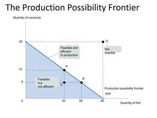 The Production Possibility Frontier
2820 400
30
9
15
Quantity of coconuts
Production possibility frontier
A
B
D
C
Feasible and
efficient
in production
Not
feasible
PPF
Quantity of fish
Feasible
but
not efficient
 