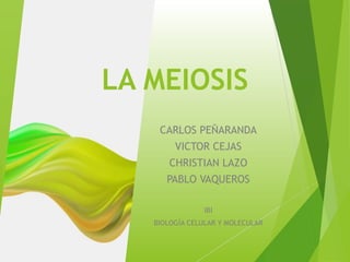 LA MEIOSIS
CARLOS PEÑARANDA
VICTOR CEJAS
CHRISTIAN LAZO
PABLO VAQUEROS
IBI
BIOLOGÍA CELULAR Y MOLECULAR
 