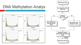 DNA Methylation Analysis
 