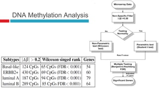 DNA Methylation Analysis
 