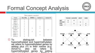 Formal Concept Analysis
 To distinguish between
hypomethylated and hypermethylated,
we refere to hypomethylated genes by
adding plus (+) in their names (e.g.
Aim2(+)), also we refere to
hypermethylated genes by adding
 