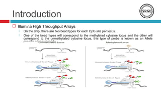 Introduction
 Illumina High Throughput Arrays
 On the chip, there are two bead types for each CpG site per locus.
 One of the bead types will correspond to the methylated cytosine locus and the other will
correspond to the unmethylated cytosine locus, this type of probe is known as an Allele
specific oligonucleotide.
 