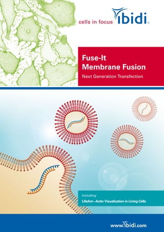 Fuse-It
Membrane Fusion
Next Generation Transfection
Including:
LifeAct—Actin Visualization in Living Cells
www. .com
 