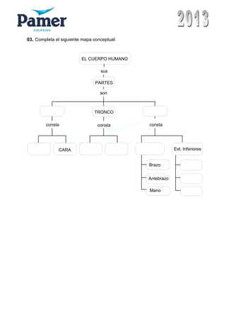 03. Completa el siguiente mapa conceptual:
EL CUERPO HUMANO
sus
PARTES
son
TRONCO
constaconsta consta
CARA Ext. Inferiores
Brazo
Antebrazo
Mano
 