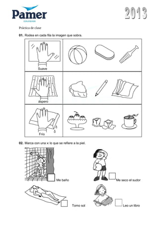 Práctica de clase
01. Rodea en cada fila la imagen que sobra.
Suave
áspero
Frío
02. Marca con una × lo que se refiere a la piel.
Me baño Me seco el sudor
Tomo sol Leo un libro
 