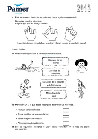 • Para saber como funcionan los músculos haz el siguiente experimento:
Necesitas: Una liga y tu mano.
Coge la liga, estírala y luego suéltala.
Los músculos son como la liga, se estiran y luego vuelven a su estado natural.
Práctica de clase
01. Une cada fotografía con el cartel que le corresponde.
Músculos de las
piernas
Músculos del
abdomen
Músculos de la espalda
y de los brazos
Músculos de la
cara
02. Marca con un 3 lo que debes hacer para desarrollar tus músculos.
• Realizar ejercicios físicos.
• Tomar pastillas para desarrollarlos.
• Tener una postura correcta.
• Alimentarme adecuadamente.
03. Lee las siguientes oraciones y luego coloca verdadero (V) o falso (F) según
corresponda:
 