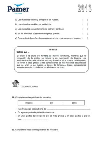 a) Los músculos cubren y protegen a los huesos. ( )
b) Los músculos son blandos y elásticos. ( )
c) Los músculos constantemente se estiran y contraen. ( )
d) En los músculos observamos los poros y vellos. ( )
e) Por medio de los músculos conocemos si una cosa es suave o áspera. ( )
TAREA DOMICILIARIA
01. Completa con las palabras del recuadro:
- Nuestro cuerpo está cubierto de ..............................................................................
- En algunas partes la piel está cubierta de ................................................................
- En unas partes del cuerpo la piel es más gruesa y en otras partes la piel es
más .............................................. .
02. Completa la frase con las palabras del recuadro:
delgada - piel - pelos
Pildoritas
Sabias que ...
El brazo a la altura del hombro se mueve libremente, mientras que la
circulación de la rodilla, se reduce a un movimiento de bisagra. Los
movimientos de cada vértebra son muy limitados y los huesos del esqueleto
se llevan a cabo gracias a las contracciones de los músculos esqueléticos
que se unen a los huesos a través de tendones. Estas contracciones
musculares están controladas por el sistema nervioso.
 