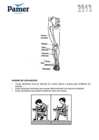 HIGIENE DE LOS HUESOS:
- Tomar alimentos ricos en vitamina D y calcio (leche y queso) para fortalecer los
huesos.
- Evitar posturas incorrectas que causan deformaciones a la columna vertebral.
- Evitar accidentes que puedan ocasionar rotura de huesos.
 