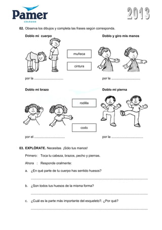 02. Observa los dibujos y completa las frases según corresponda.
Doblo mi cuerpo Doblo y giro mis manos
por la ................................ por la ................................
Doblo mi brazo Doblo mi pierna
por el .................................. por la ...................................
03. EXPLÓRATE. Necesitas ¡Sólo tus manos!
Primero: Toca tu cabeza, brazos, pecho y piernas.
Ahora : Responde oralmente:
a. ¿En qué parte de tu cuerpo has sentido huesos?
.................................................................................................................................
b. ¿Son todos tus huesos de la misma forma?
.................................................................................................................................
c. ¿Cuál es la parte más importante del esqueleto?. ¿Por qué?
.................................................................................................................................
muñeca
cintura
rodilla
codo
 
