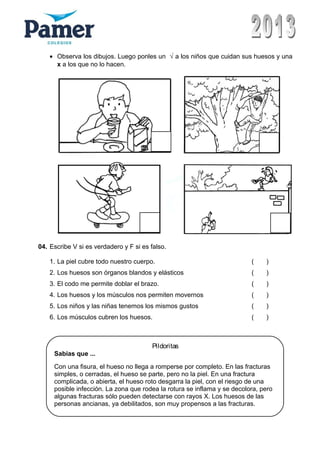 • Observa los dibujos. Luego ponles un √ a los niños que cuidan sus huesos y una
x a los que no lo hacen.
04. Escribe V si es verdadero y F si es falso.
1. La piel cubre todo nuestro cuerpo. ( )
2. Los huesos son órganos blandos y elásticos ( )
3. El codo me permite doblar el brazo. ( )
4. Los huesos y los músculos nos permiten movernos ( )
5. Los niños y las niñas tenemos los mismos gustos ( )
6. Los músculos cubren los huesos. ( )
Pildoritas
Sabias que ...
Con una fisura, el hueso no llega a romperse por completo. En las fracturas
simples, o cerradas, el hueso se parte, pero no la piel. En una fractura
complicada, o abierta, el hueso roto desgarra la piel, con el riesgo de una
posible infección. La zona que rodea la rotura se inflama y se decolora, pero
algunas fracturas sólo pueden detectarse con rayos X. Los huesos de las
personas ancianas, ya debilitados, son muy propensos a las fracturas.
 