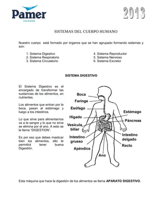 SISTEMAS DEL CUERPO HUMANO
Nuestro cuerpo está formado por órganos que se han agrupado formando sistemas y
son:
1. Sistema Digestivo 4. Sistema Reproductor
2. Sistema Respiratorio 5. Sistema Nervioso
3. Sistema Circulatorio 6. Sistema Excretor
SISTEMA DIGESTIVO
El Sistema Digestivo es el
encargado de transformar las
sustancias de los alimentos, en
nutrientes.
Los alimentos que entran por la
boca, pasan al estómago y
luego a los intestinos.
Lo que sirve para alimentarnos
va a la sangre y lo que no sirve
se elimina por el ano. A esto se
le llama “DIGESTION”.
Es por eso que debes masticar
bien los alimentos, ello te
permitirá tener buena
Digestión.
Esta máquina que hace la digestión de los alimentos se llama APARATO DIGESTIVO.
 
